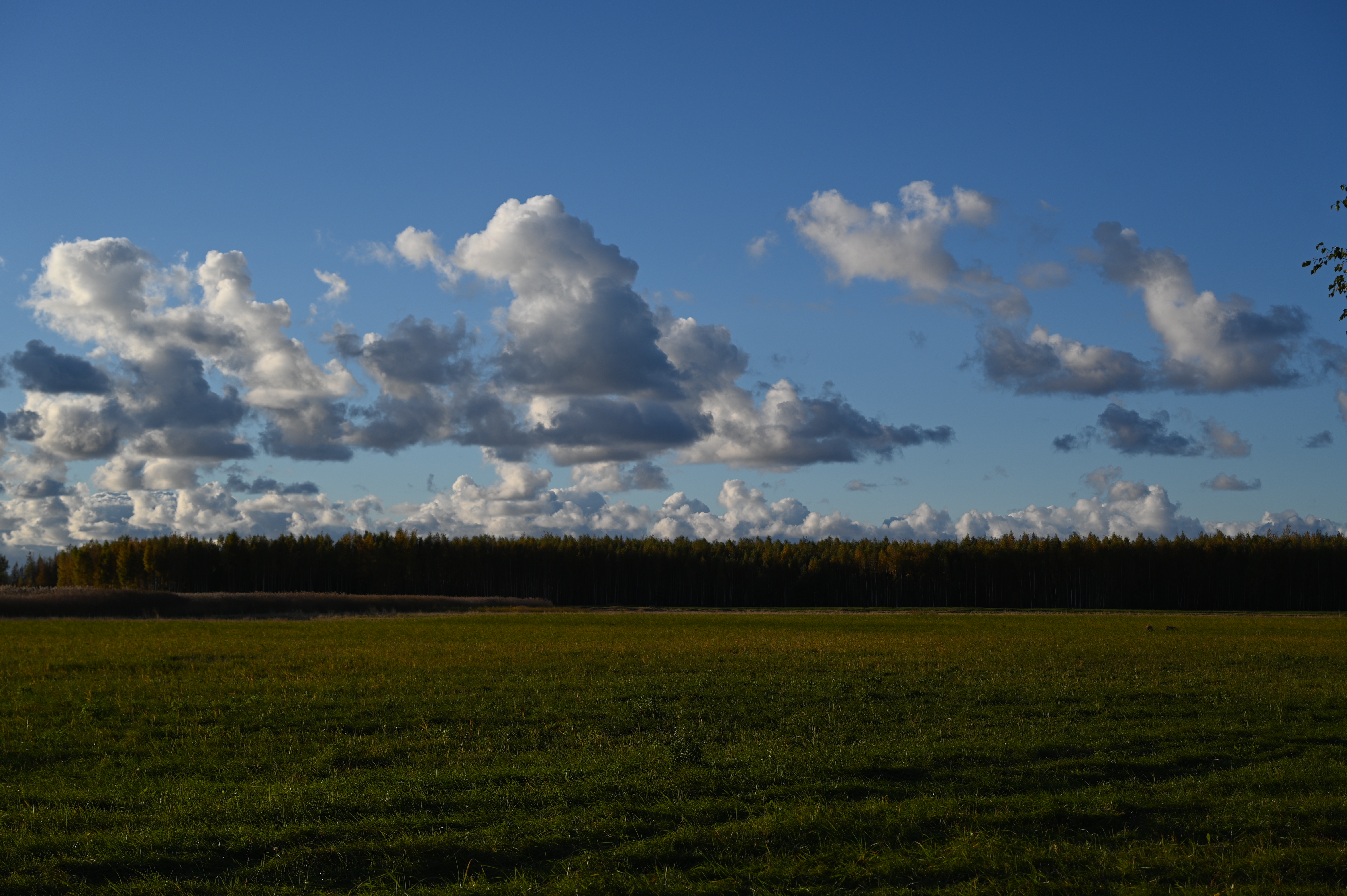 2025/10/18 - walk/DSC_0156.JPG